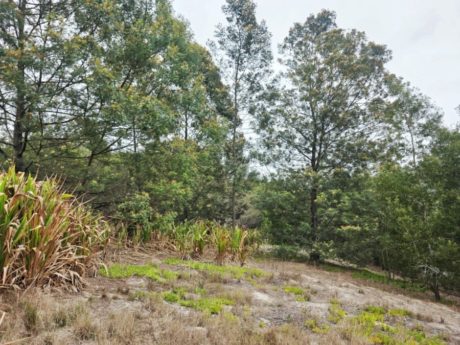 Commercial Property for Sale in Sedgefield Rural Western Cape